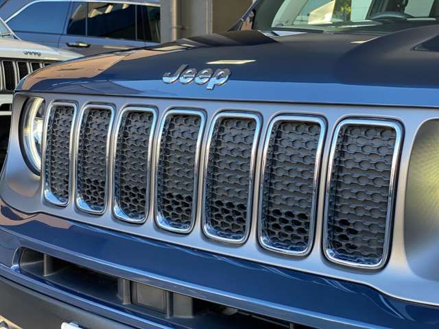 Jeep RENEGADE 2020-09 194643-12