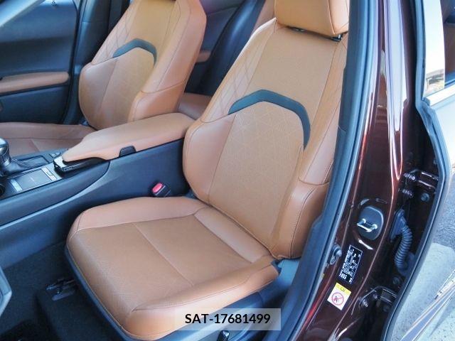 Lexus UX 2019-02 209294-12