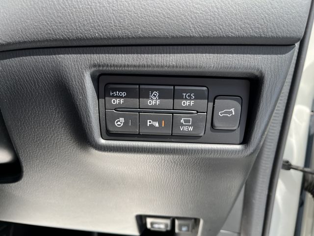 Mazda CX-8 2018-08 8028-14
