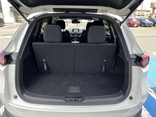 Mazda CX-8 2018-08 8028-20