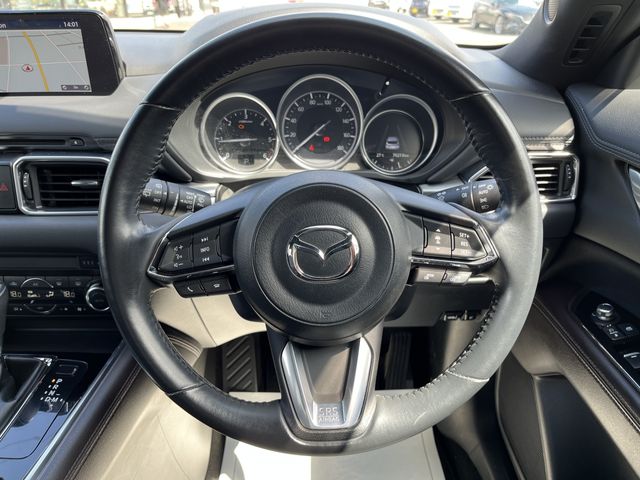 Mazda CX-8 2018-08 8028-5