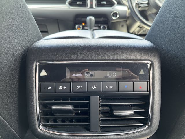 Mazda CX-8 2018-08 8028-17