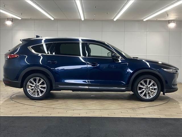 Mazda CX-8 2017-11 12381-15