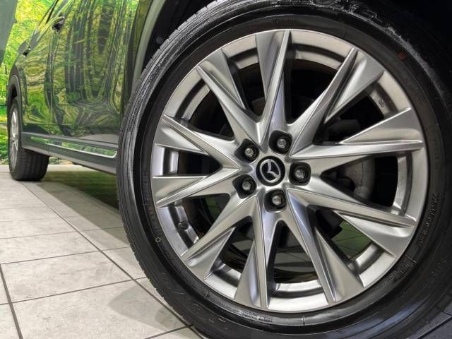 Mazda CX-8 2018-06 188199-14