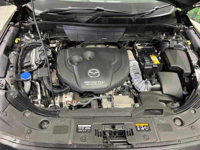 Mazda CX-8 2018-06 188199-19