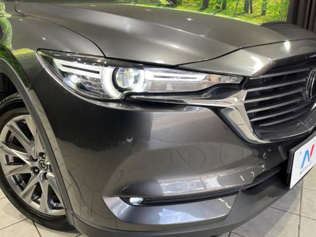 Mazda CX-8 2018-06 188199-13