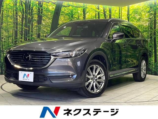 Mazda CX-8 2018-06 188199-0