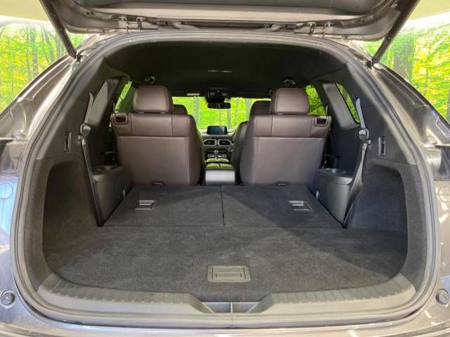 Mazda CX-8 2018-06 188199-11