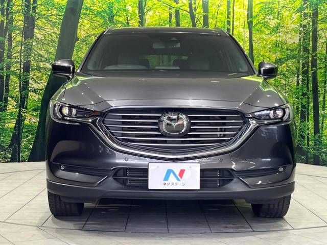 Mazda CX-8 2018-06 188199-15