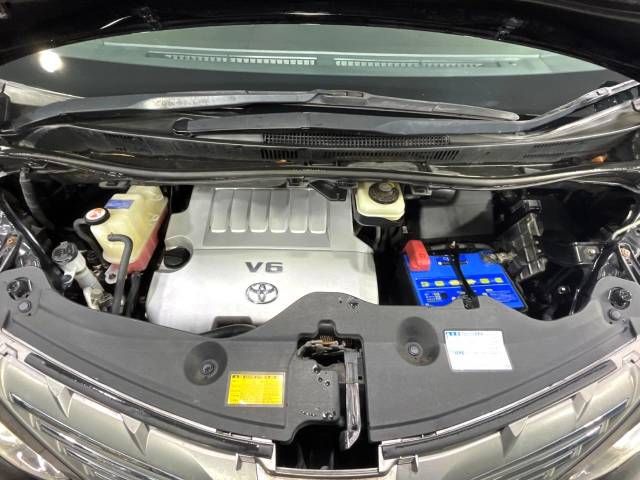 Toyota ALPHARD 2010-07 196222-18