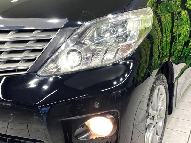 Toyota ALPHARD 2010-07 196222-12