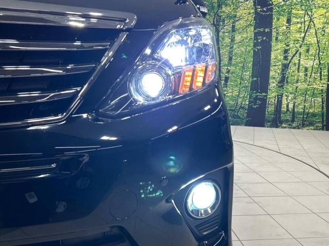 Toyota ALPHARD 2013-10 189082-13