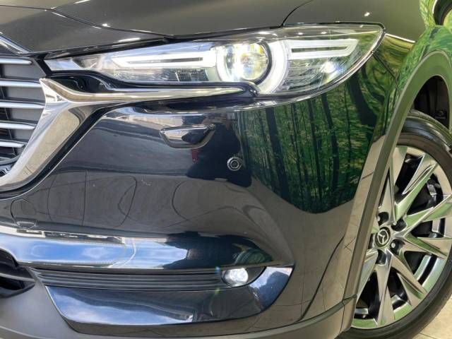 Mazda CX-8 2019-03 184781-12
