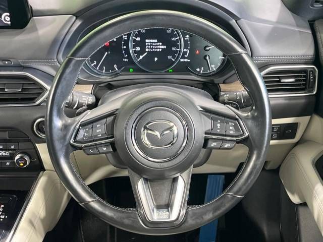 Mazda CX-8 2019-03 184781-11