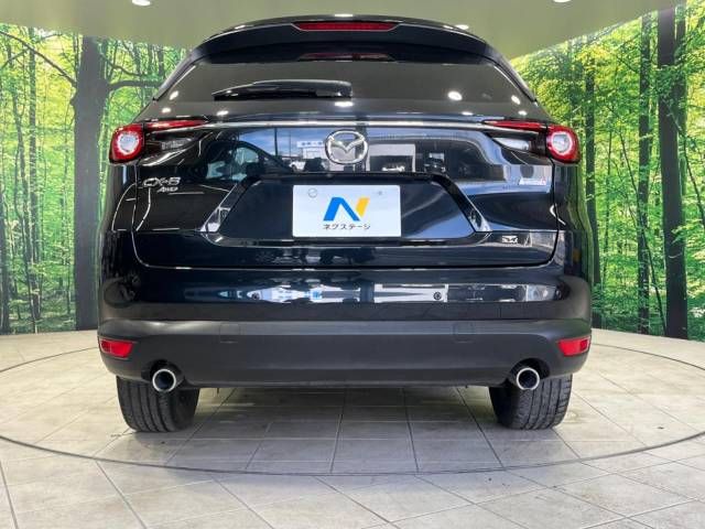 Mazda CX-8 2019-03 184781-15