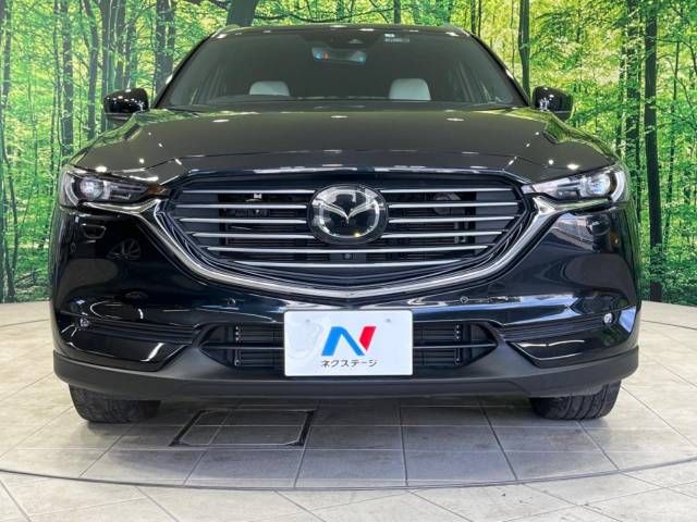Mazda CX-8 2019-03 184781-14
