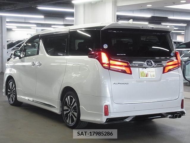 Toyota ALPHARD 2018-10 217902-6