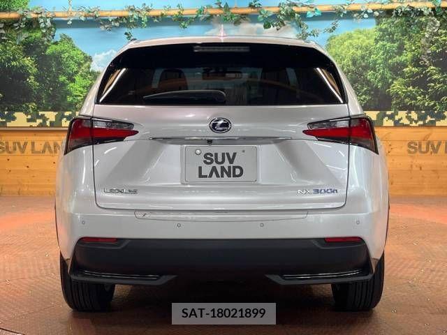 Lexus NX 2016-08 391907-17