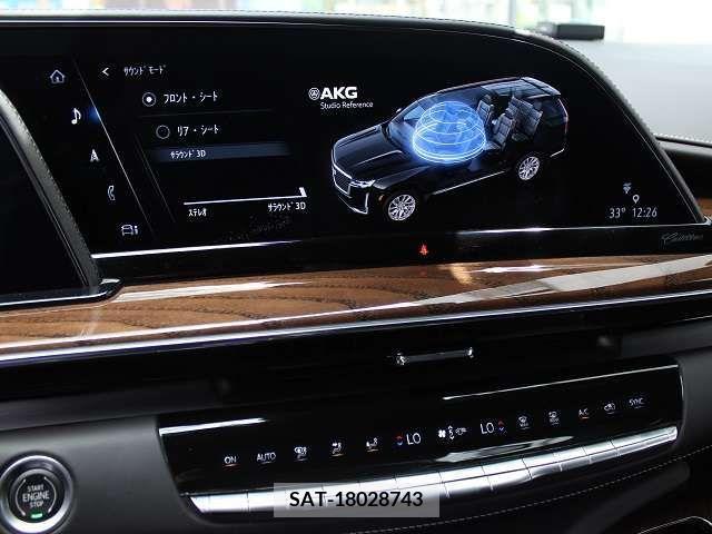 Cadillac ESCALADE 2021-09 207761-16
