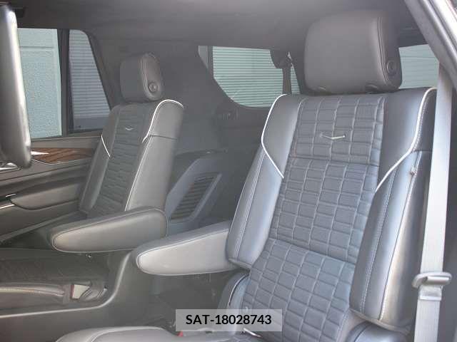 Cadillac ESCALADE 2021-09 207761-15