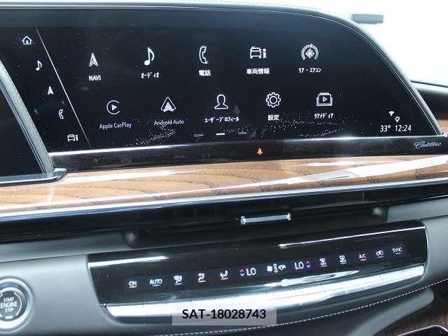 Cadillac ESCALADE 2021-09 207761-12