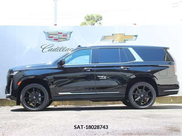 Cadillac ESCALADE 2021-09 207761-10
