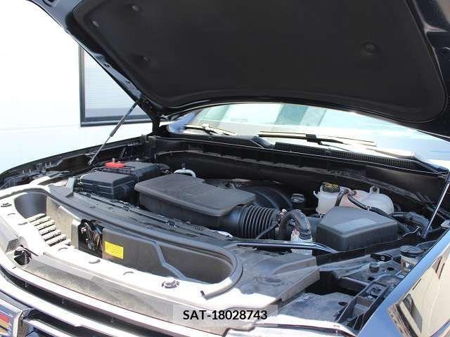 Cadillac ESCALADE 2021-09 207761-19
