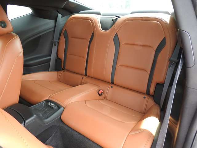 Chevrolet CAMARO 2017-11 11166-10