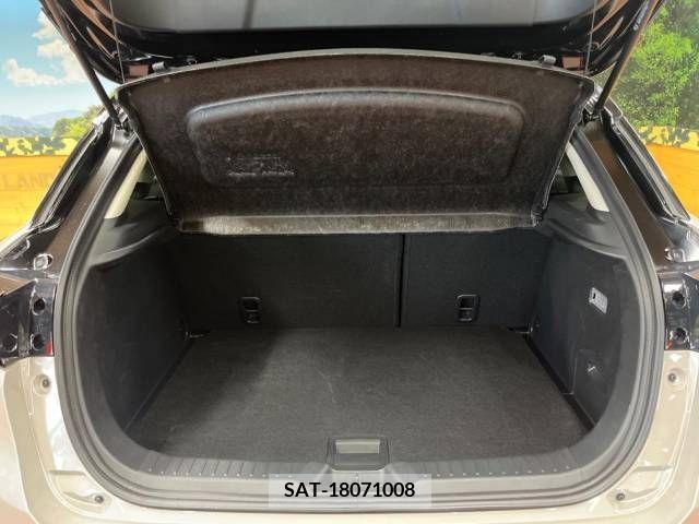 Mazda CX-3 2022-01 302087-10