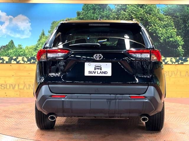 Toyota RAV4 2023-05 13976-15