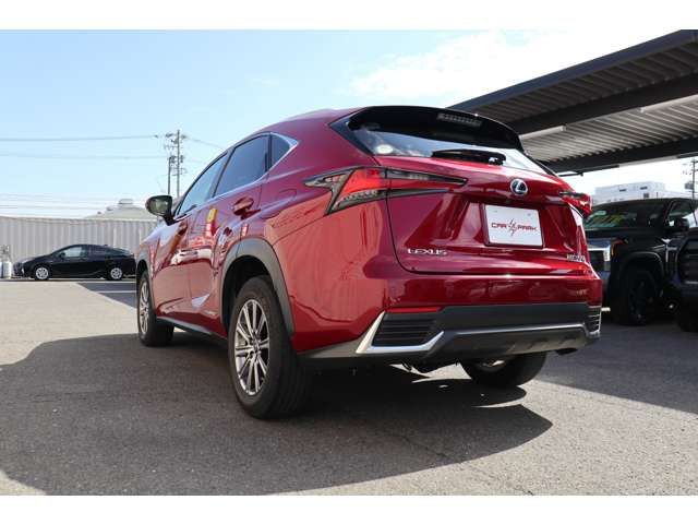 Lexus NX 2018-04 363-11