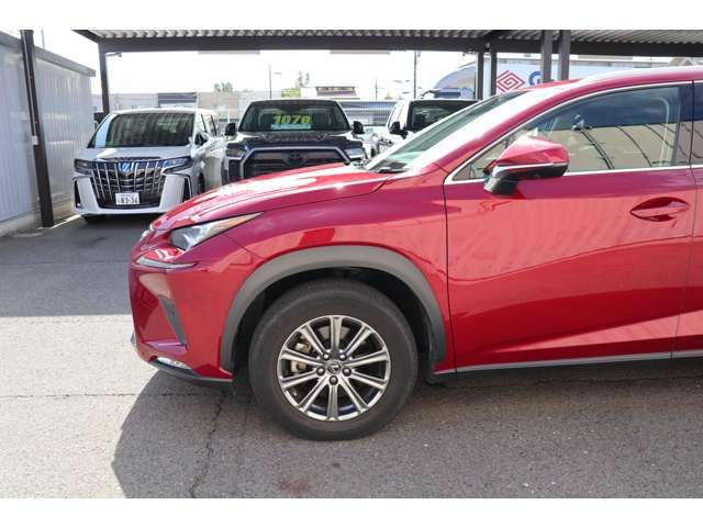 Lexus NX 2018-04 363-19