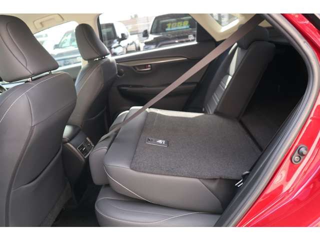 Lexus NX 2018-04 363-18