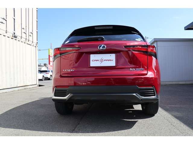 Lexus NX 2018-04 363-9