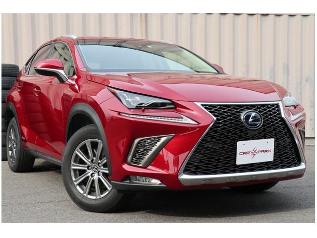 Lexus NX 2018-04 363-0