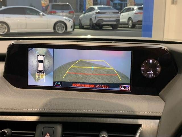 Lexus UX 2019-02 10200-3