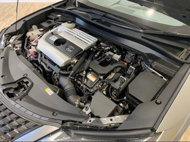 Lexus UX 2019-02 10200-11