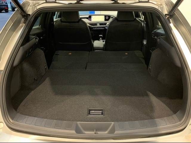Lexus UX 2019-02 10200-17