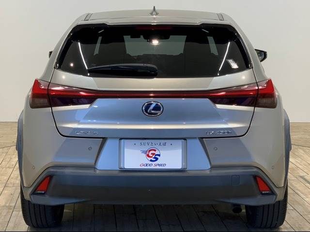 Lexus UX 2019-02 10200-13