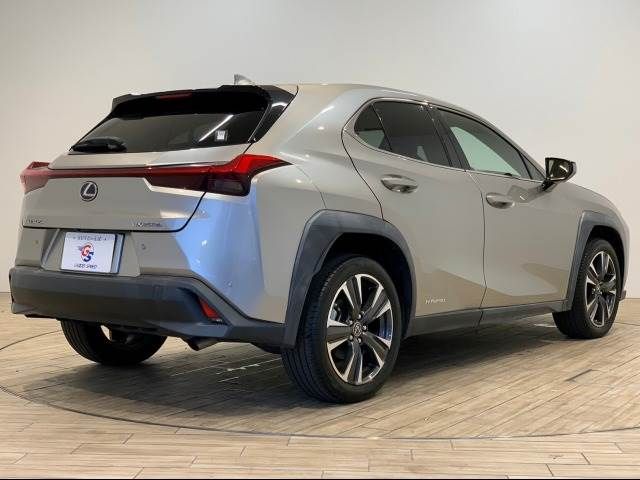Lexus UX 2019-02 10200-16