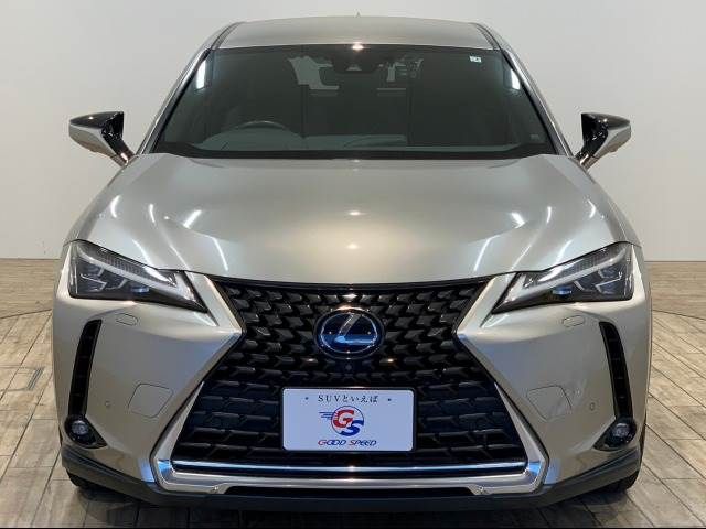 Lexus UX 2019-02 10200-12