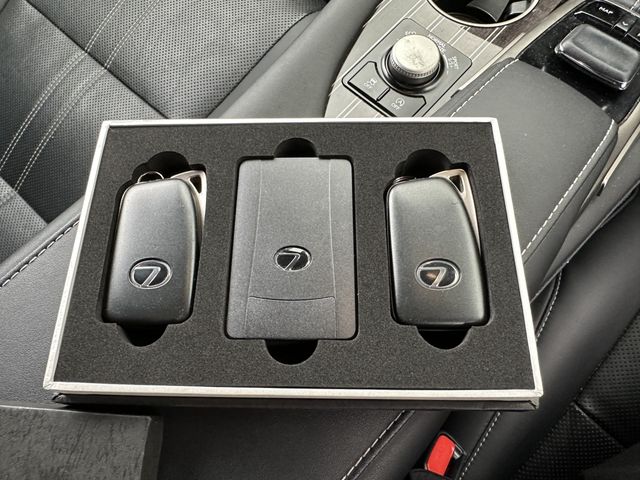 Lexus RX 2017-03 1305-4