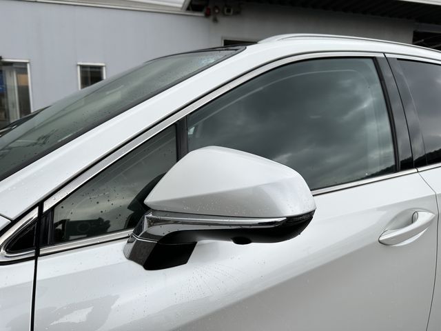 Lexus RX 2017-03 1305-12
