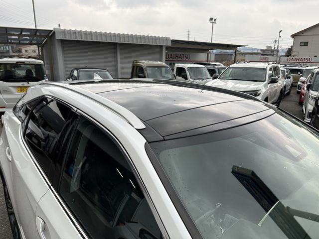 Lexus RX 2017-03 1305-8