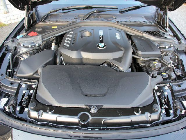 Bmw 3 SERIES 2019-01 180598-23