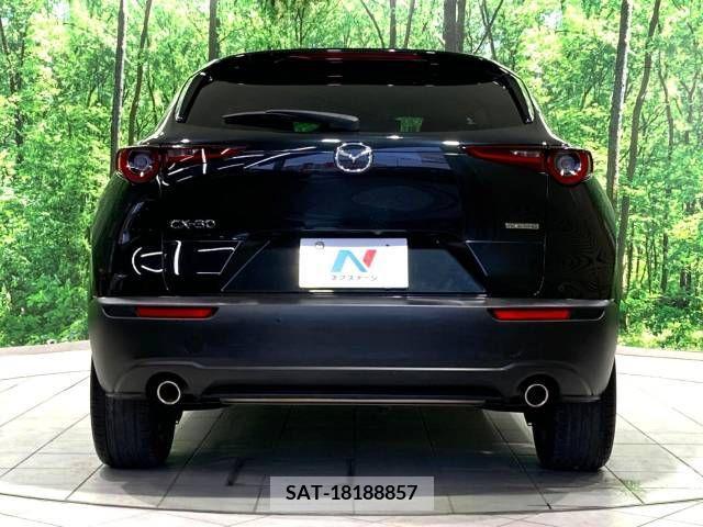 Mazda CX-30 2020-02 349171-15
