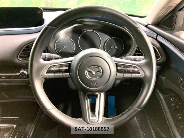Mazda CX-30 2020-02 349171-11