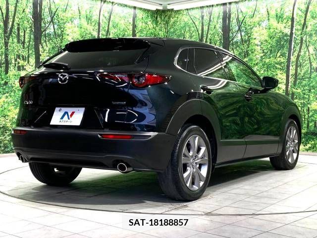 Mazda CX-30 2020-02 349171-17