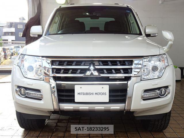 Mitsubishi PAJERO 2015-09 381384-8