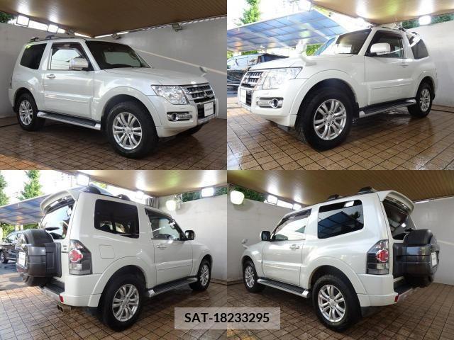 Mitsubishi PAJERO 2015-09 381384-2
